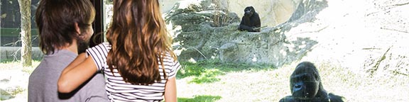 Planes para familia con niños de 0 a 7 años en Zoo Madrid