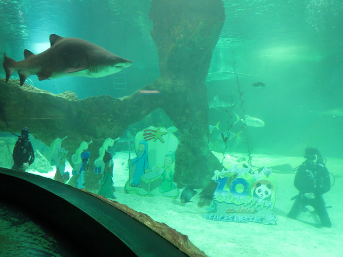 El espíritu de la Navidad llega al Zoo Aquarium de Madrid