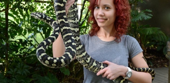 Las serpientes más impresionantes que puedes ver en el Zoo de Madrid