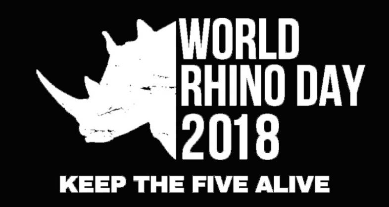 Día Mundial del rinoceronte, una cita para mantener a salvo a sus 5 especies