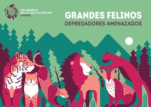 Los grandes felinos, protagonistas del Día de la Vida Silvestre