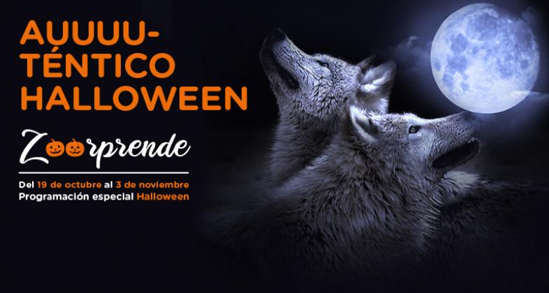 Halloween se acerca en Zoo Aquarium de Madrid