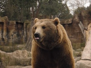 El parque de animales ¡descubre tu lado más salvaje!
