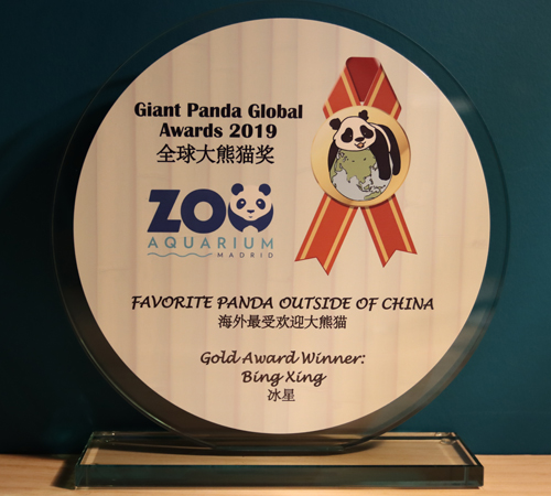 Premio a Bing Xing en los Giant Panda Global Awards