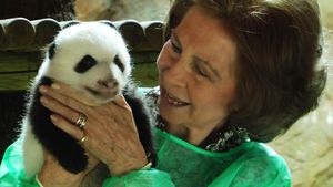 Los ositos panda saldrán a la pradera bajo la atenta mirada de Su Majestad La Reina