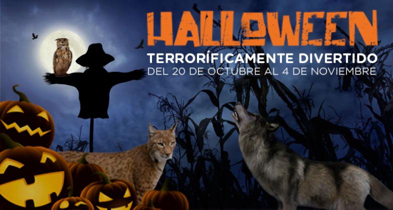 Vive un Halloween terroríficamente divertido en Zoo