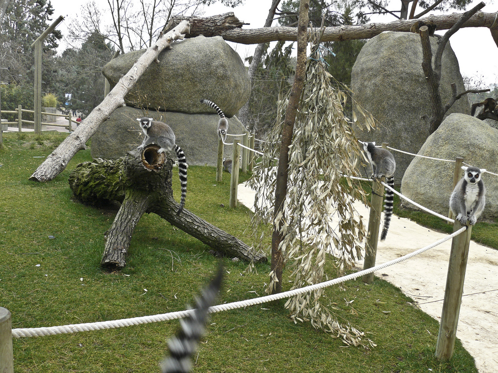 Tres actividades al aire libre para disfrutar con toda la familia