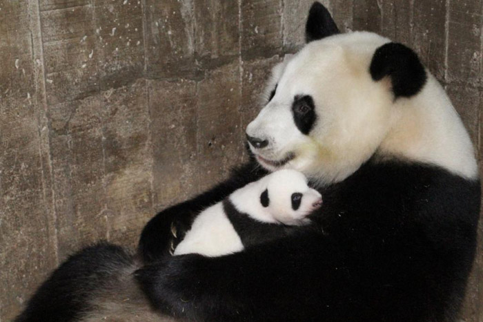 ¡Xing Bao, en primera posición!