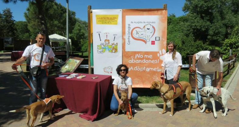 Éxito de campaña en contra del abandono de mascotas