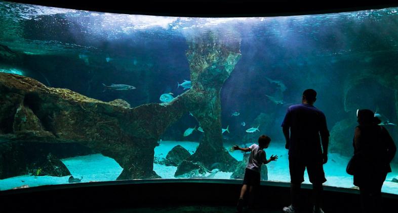 La renovación del Aquarium permitirá más del 50% de ahorro energético