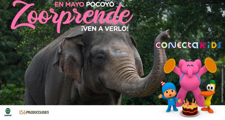 Celebra el cumple de Pocoyó en Zoo Aquarium de Madrid
