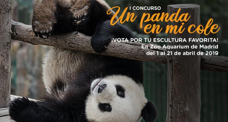 Vota en el I Concurso "Un panda en mi cole"