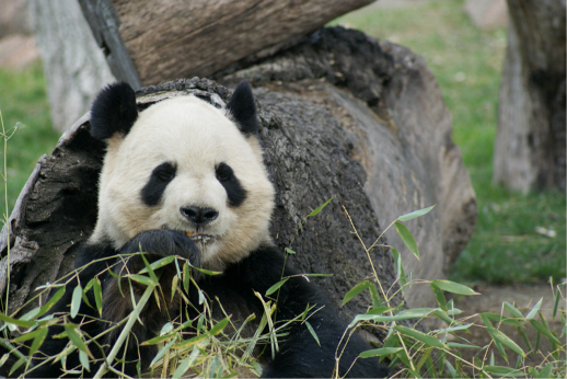 Consejos verano Zoo Aquarium llega temprano