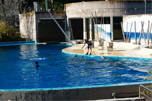 Consejos verano Zoo Aquarium exhibiciones