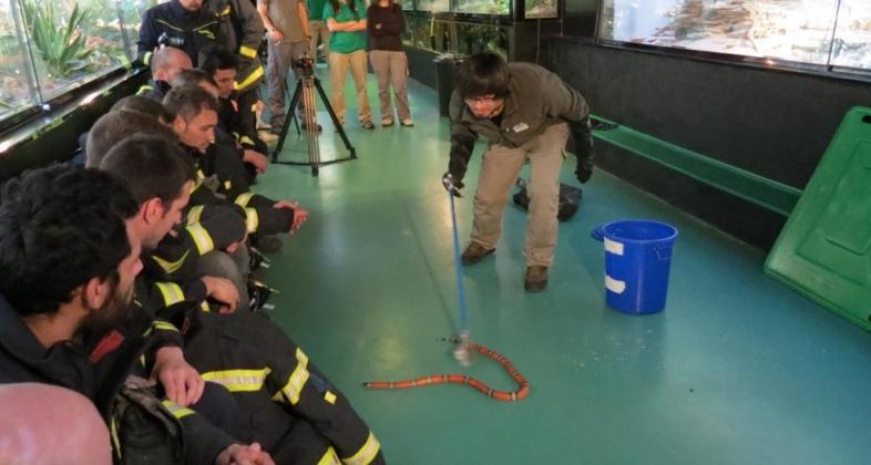 Curso de manejo de reptiles con los bomberos del Ayuntamiento de Madrid