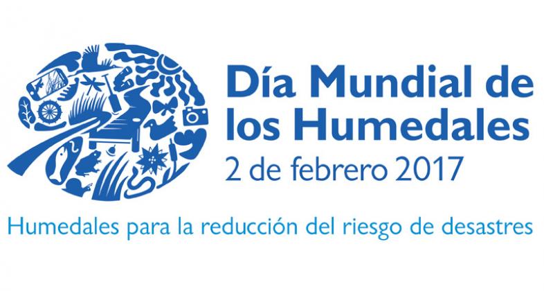 Nos sumamos al Día de los Humedales, junto a la Convención Ramsar y Seo Birdlife