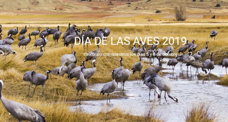 Súmate al día Mundial de las Aves con Zoo