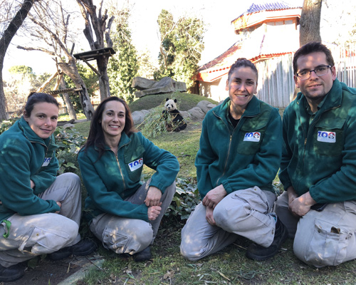 Equipo de cuidadores de osos panda de Zoo Aquarium de Madrid