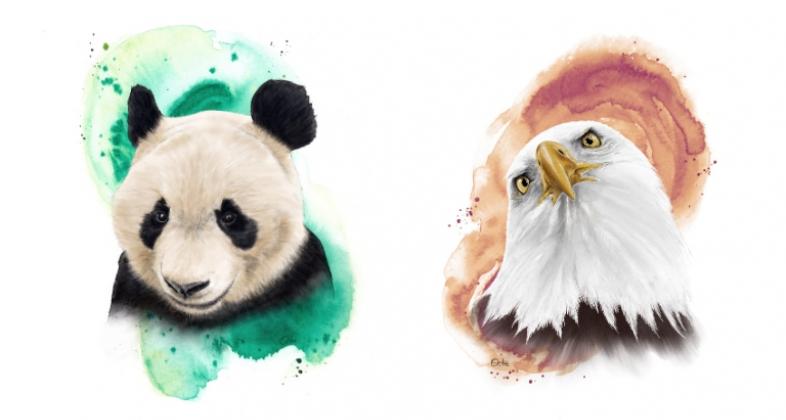 A partir del 1 de abril, Zoo Aquarium de Madrid acoge una exposición de la artista Nerea Saelices, cuidadora de mamíferos marinos