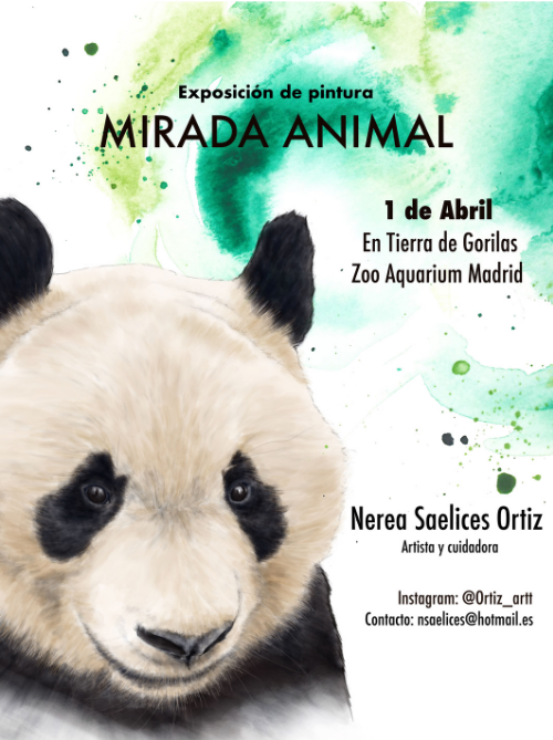 Exposición de pintura en Zoo Aquarium de Madrid