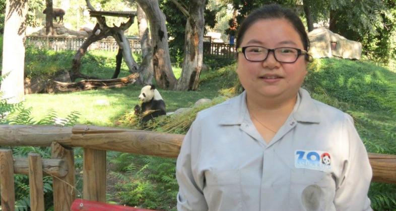 Panda nurse Mei Yan tell us about her work at the Zoo