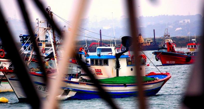 Zoo se suma a poner fin a la sobrepesca