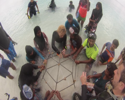 Restauración del arrecife de coral en las Maldivas