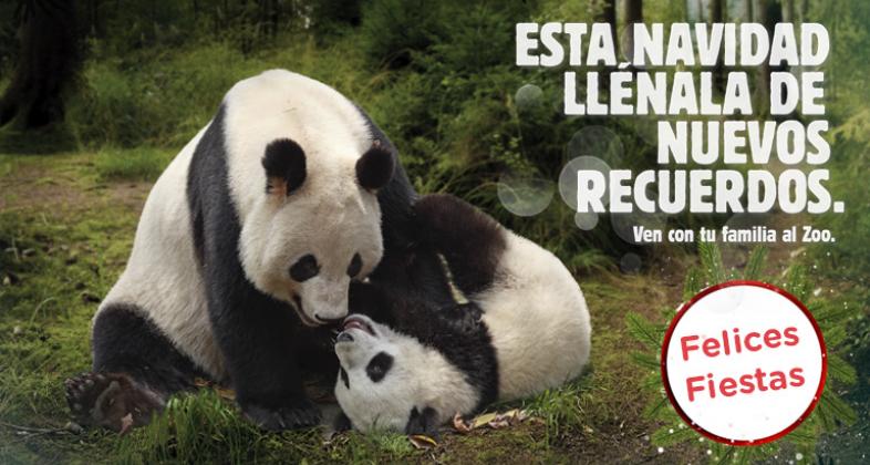 Vive una Navidad mágica en Zoo Aquarium de Madrid