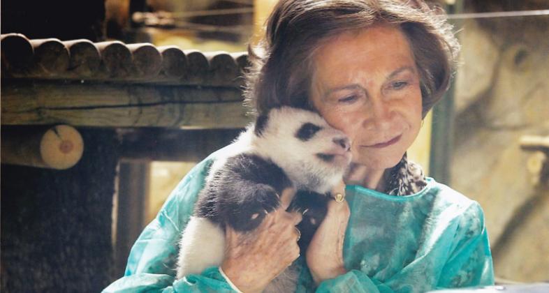 Zoo Aquarium Madrid, ¡premiado en 3 categorías de los Giant Panda global awards!