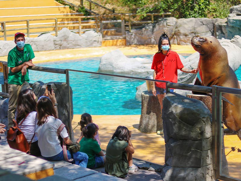 Día del enriquecimiento helado en Zoo Aquarium de Madrid