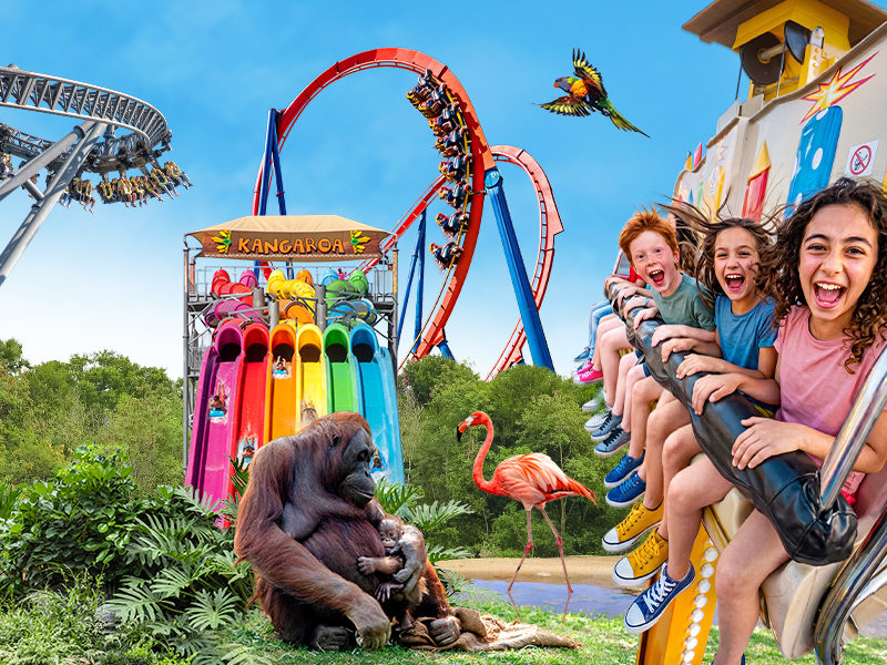 Zoo Aquarium de Madrid promo Bono Parques