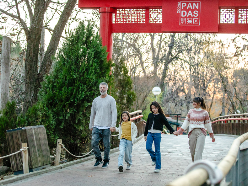 Mes Chino Zoo Aquarium Madrid