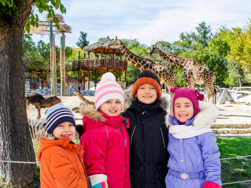 Navidad en Zoo Madrid