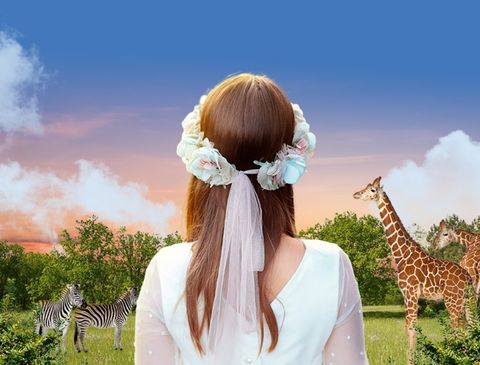 Ven a Zoo Aquarium Madrid