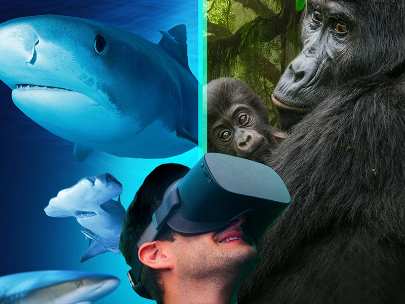 Zoo Aquarium de Madrid promo Bono Parques