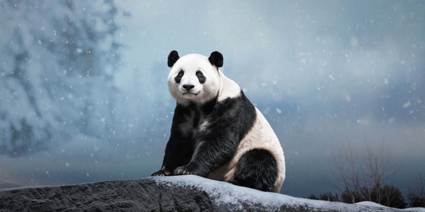 Christimas at Zoo Madrid