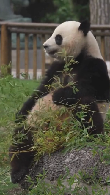 Come to Zoo