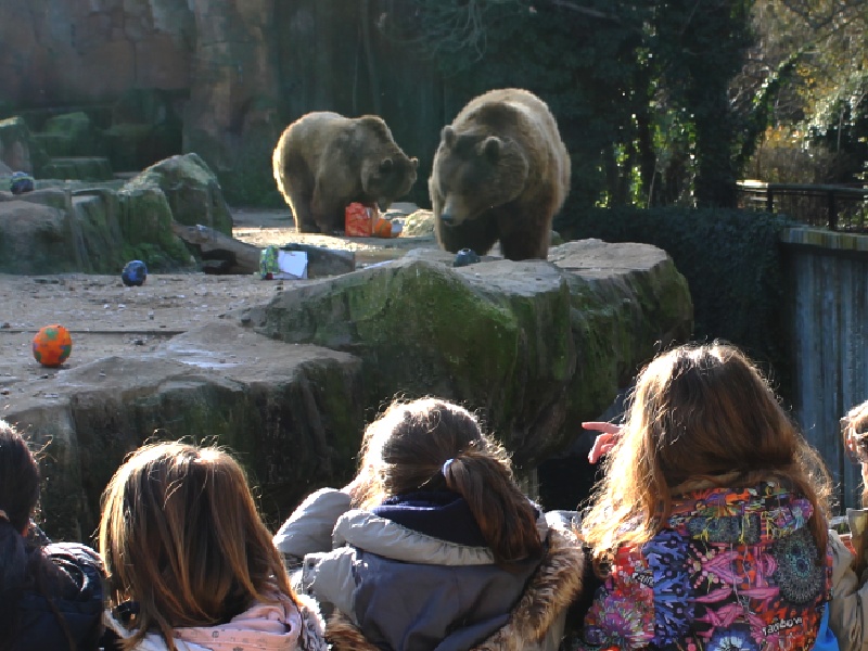Navidad en Zoo Madrid