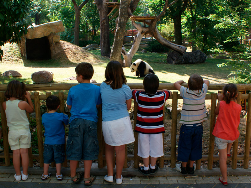 Charla de pandas en Zoo