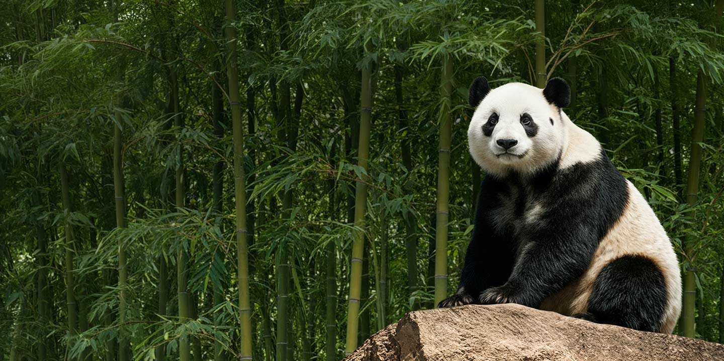 Zoo Aquarium Madrid Semana Santa