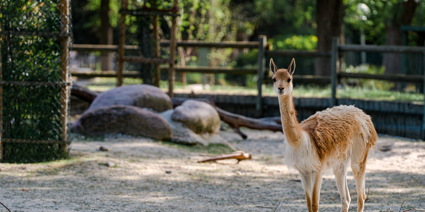 Mes de la Biodiversidad de Perú en Zoo Aquarium Madrid