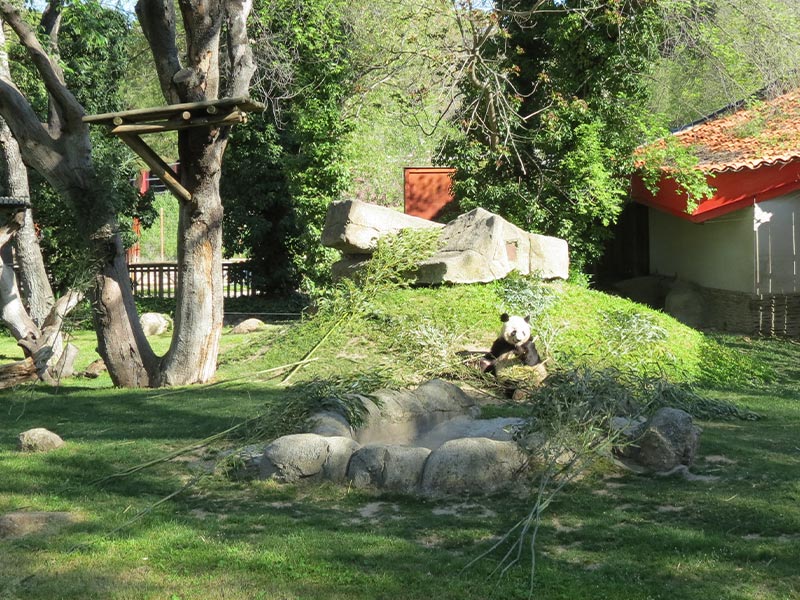 Celebra San Valentín 2013 en el Zoo de Madrid