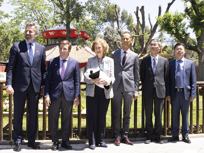 Su Majestad la Reina Doña Sofía preside la presentación oficial de la nueva pareja de Pandas del Zoo de Madrid