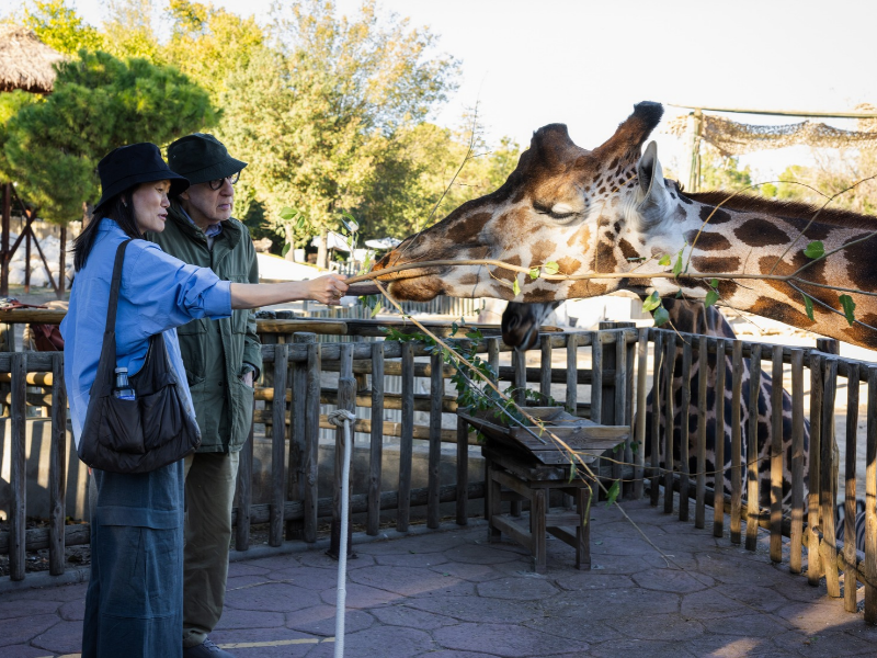Woody Allen descubre las crías nacidas este año en el Zoo de Madrid