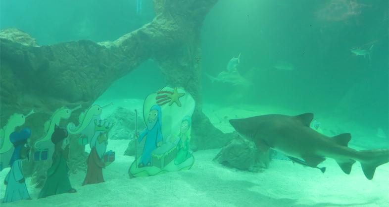 Zoo Aquarium de Madrid instala su tradicional Belén de tiburones