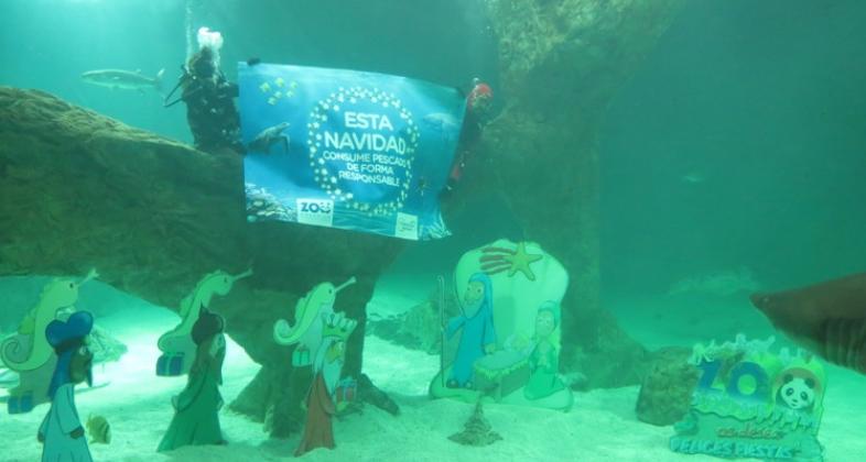 Zoo Aquarium de Madrid instala su tradicional Belén de tiburones con un mensaje navideño de sensibilización frente a la sobrepesca