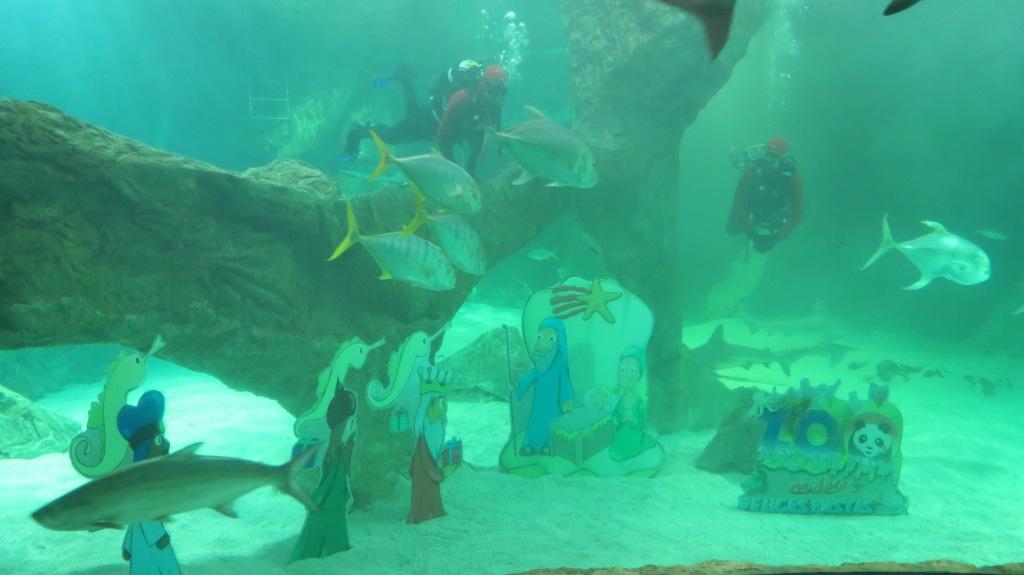 El Aquarium de Zoo de Madrid instala su tradicional Belén entre tiburones por Navidad