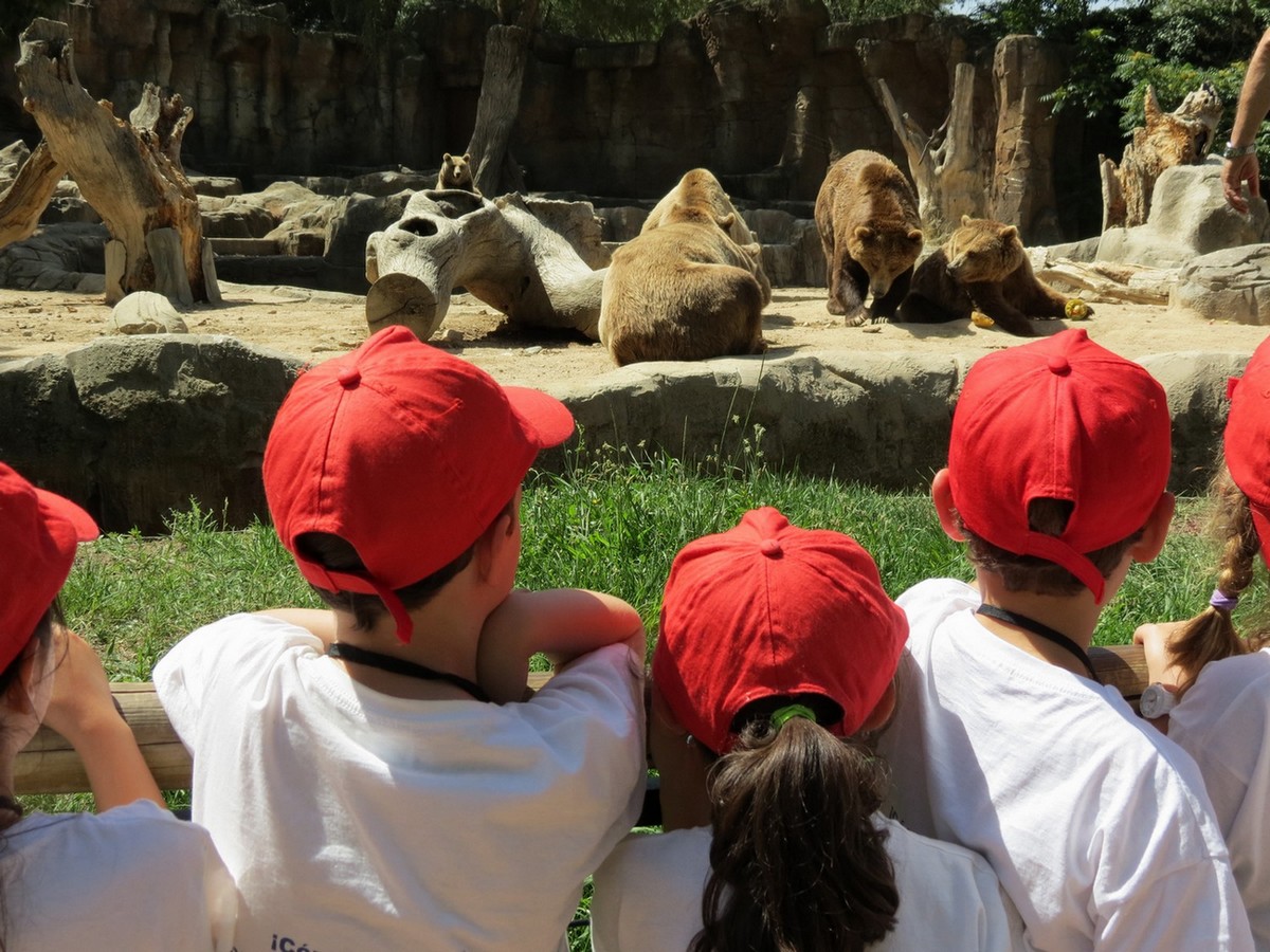 Zoo Aquarium de Madrid acerca el apasionante mundo de los grandes mamíferos a los más pequeños esta Semana Santa