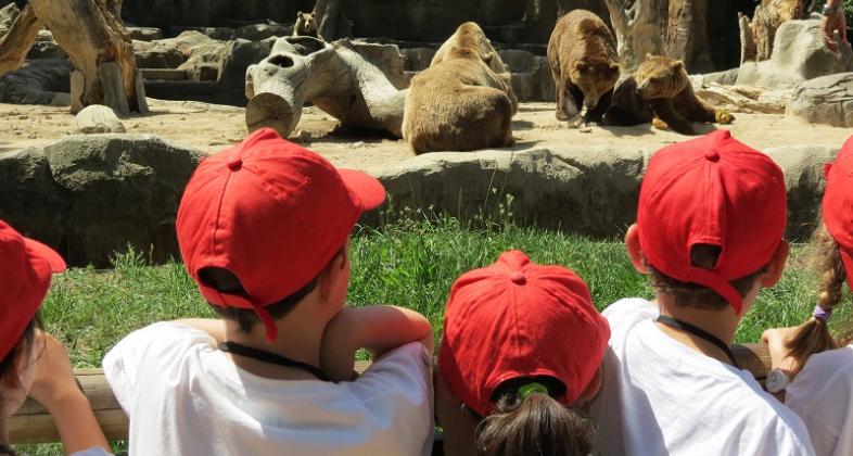 NP: Los grandes mamíferos, protagonistas en los Campamentos de Verano del Zoo de Madrid