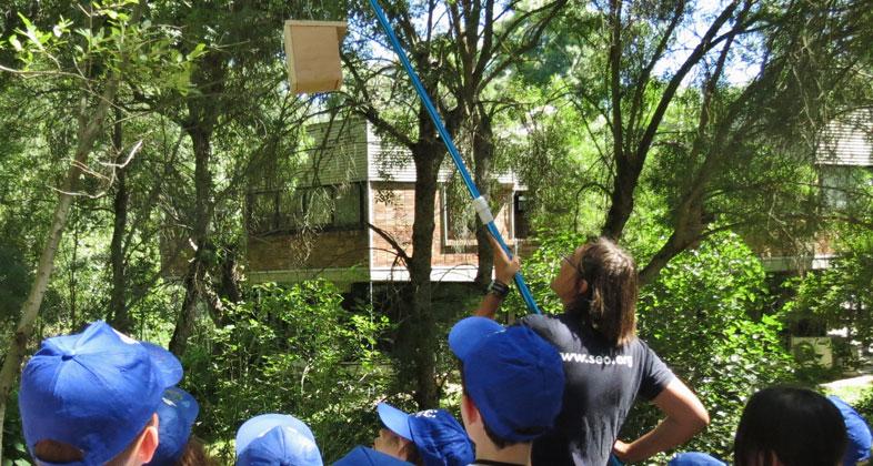 Zoo Aquarium de Madrid se suma a la celebración del Día de las Aves en colaboración con SEO/BirdLife